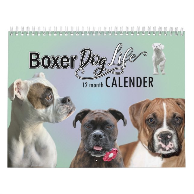 Calendario de vida del perro boxeador de 12 meses (Tapa)