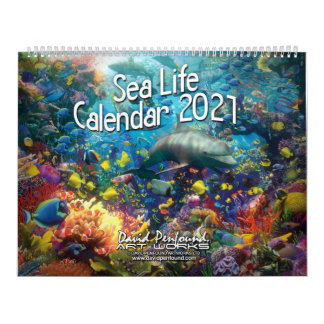 Calendario de vida marina 2021