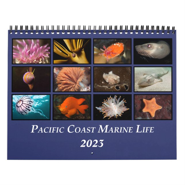 Calendario de vida marina de la costa del Pacífico (Tapa)