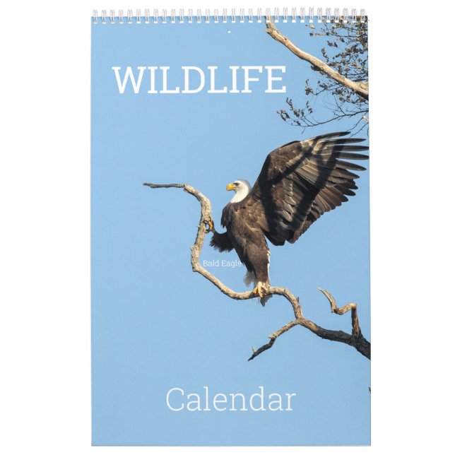 Calendario de vida silvestre (Tapa)