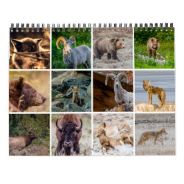 Calendario de vida silvestre