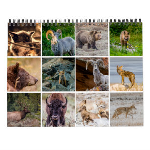 Calendario de vida silvestre
