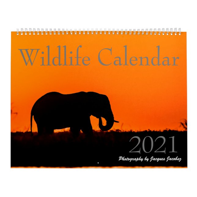 Calendario de vida silvestre 2021 (Tapa)