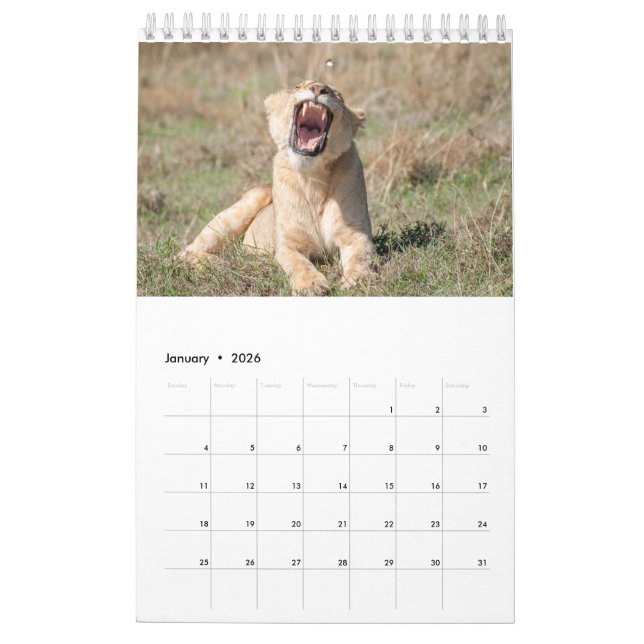 Calendario de vida silvestre 2021 (Jan 2026)