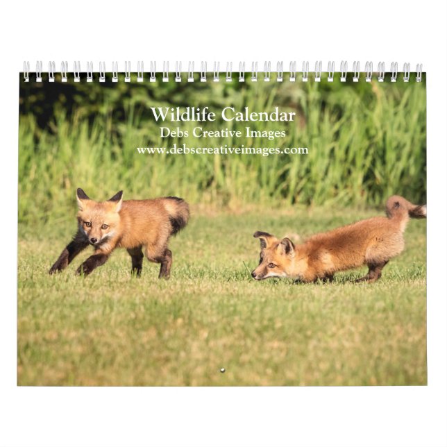 Calendario de vida silvestre 2026 (Tapa)