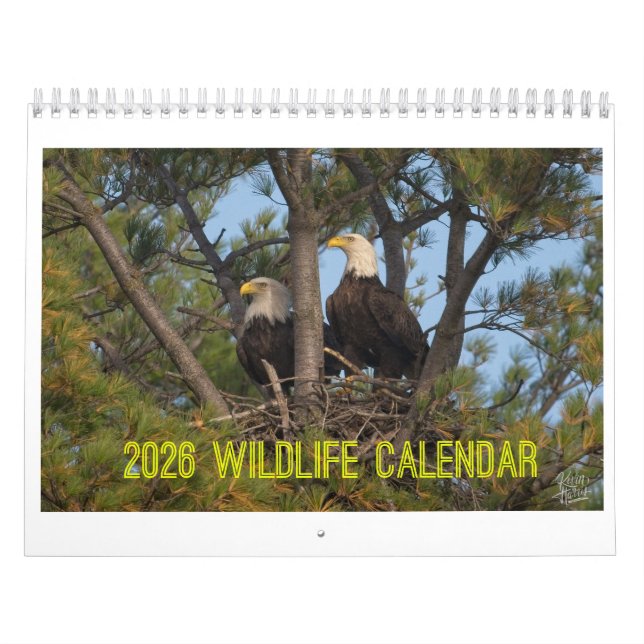 Calendario de vida silvestre 2026 de Kevin Harris (Tapa)