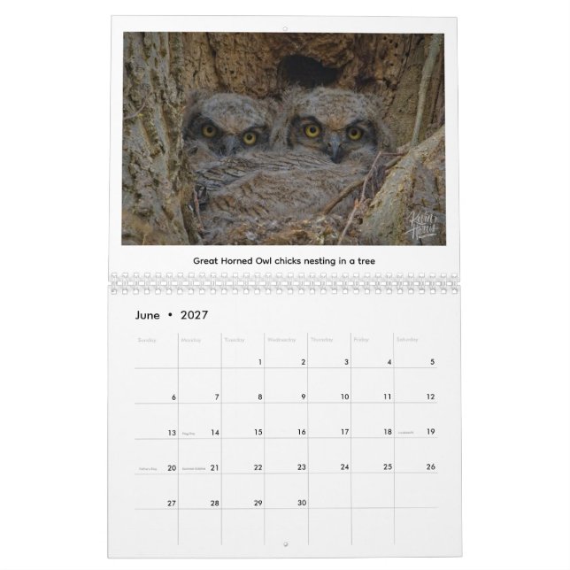 Calendario de Vida Silvestre 2026 por Kevin Harris (Jun 2027)