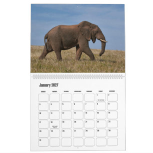 Calendario de Vida Silvestre Africana Gigantes Maj