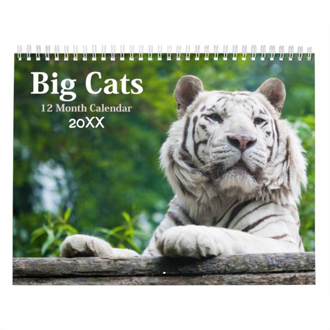Calendario de vida silvestre Big Cats 2021 (Tapa)