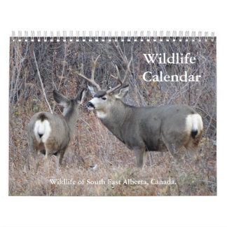 Calendario de vida silvestre C13