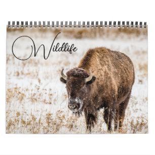 Calendario de vida silvestre con leyendas