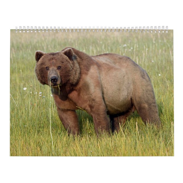 Calendario de vida silvestre de Alaska (Tapa)