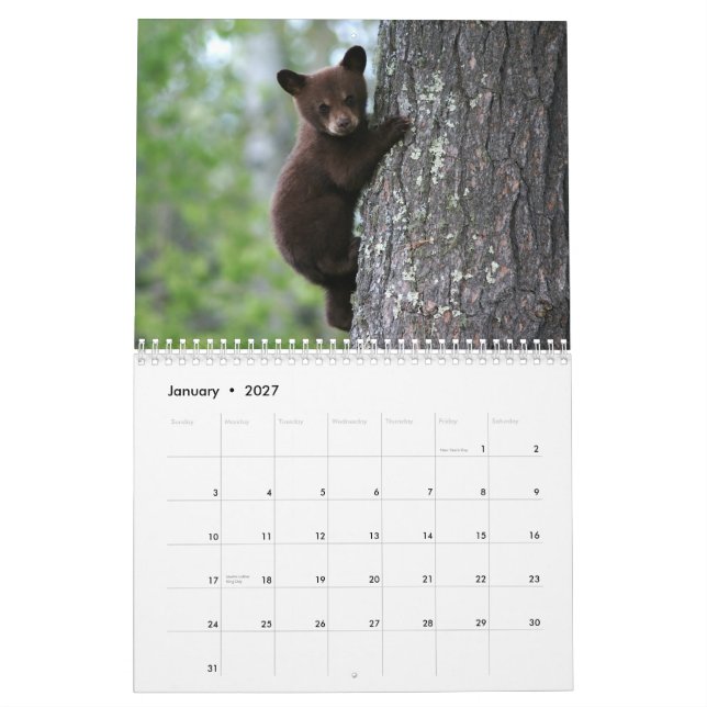 Calendario de vida silvestre de Alaskan (Jan 2027)