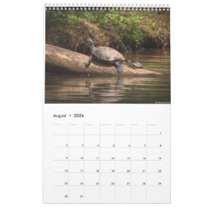 Calendario de Vida Silvestre de Carolina 2025