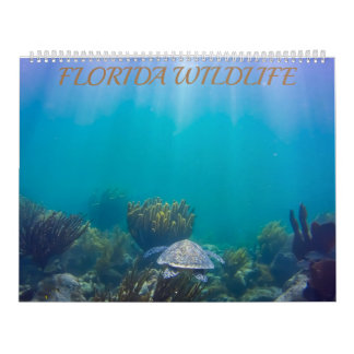 Calendario de vida silvestre de Florida 2020