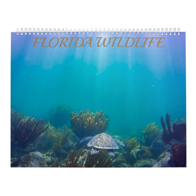Calendario de vida silvestre de Florida 2020 (Tapa)