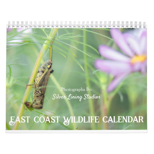 Calendario de vida silvestre de la Costa Este (Tapa)