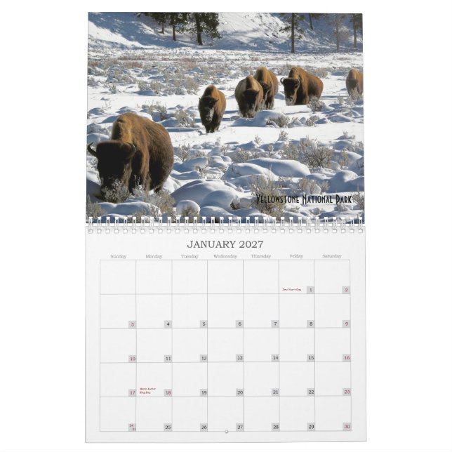 Calendario de vida silvestre de tierras públicas d (Jan 2027)
