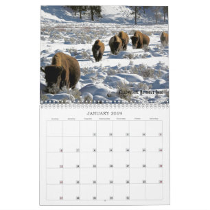 Calendario de vida silvestre de tierras públicas d