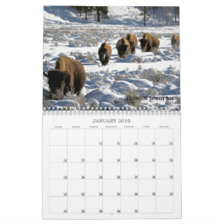 Calendario de vida silvestre de tierras públicas d