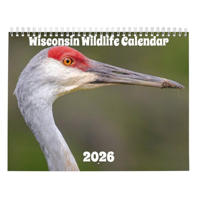Calendario de Vida Silvestre de Wisconsin 2026 (Tapa)