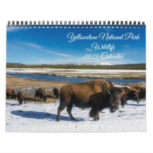 Calendario de vida silvestre de Yellowstone