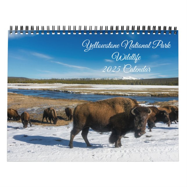 Calendario de vida silvestre de Yellowstone (Tapa)