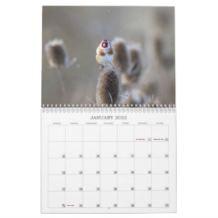 Calendario de vida silvestre del Reino Unido 2022