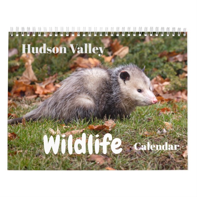 Calendario de vida silvestre del Valle de Hudson (Tapa)