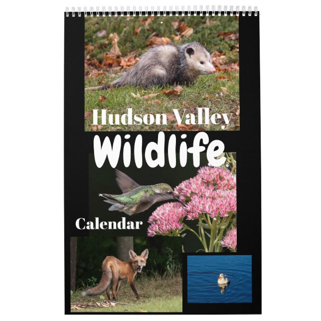 Calendario de vida silvestre del Valle de Hudson (Tapa)