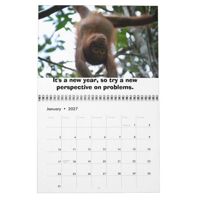Calendario de vida silvestre Jungle Lessons (Jan 2027)