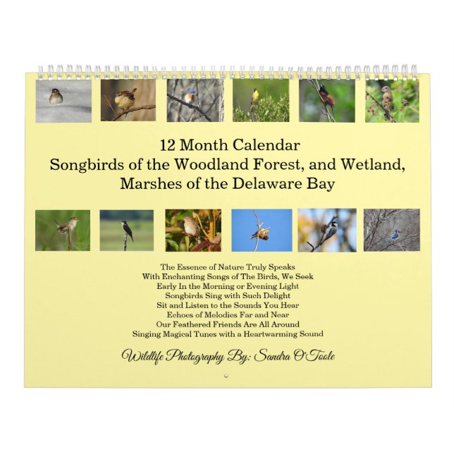 Calendario de Vida Silvestre, Pájaros Cantores, Av (Tapa)
