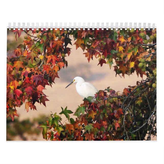 Calendario de vida silvestre y aves (Tapa)