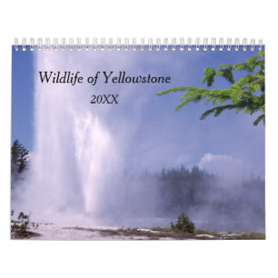 Calendario de vida silvestre Yellowstone