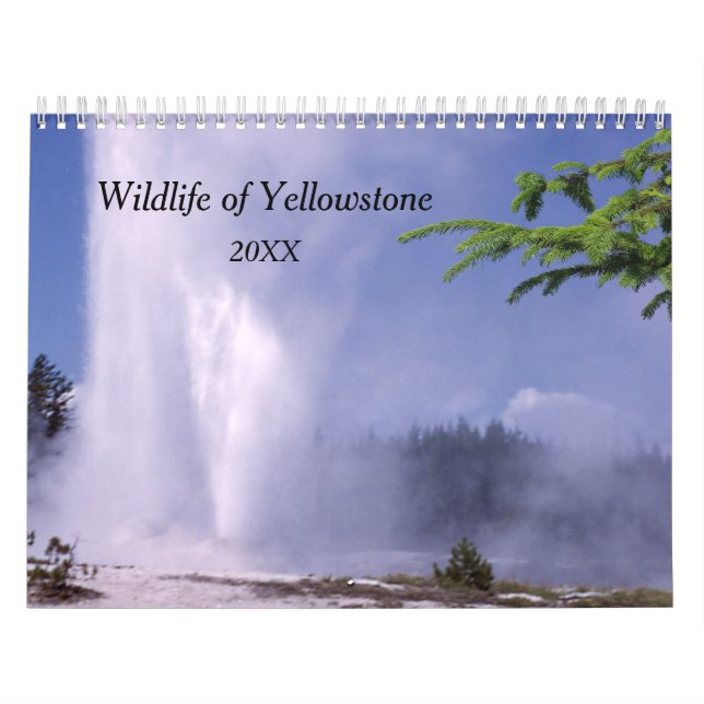 Calendario de vida silvestre Yellowstone (Tapa)