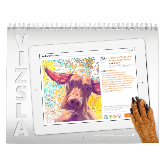 Calendario de Vizsla Selfie (Tapa)
