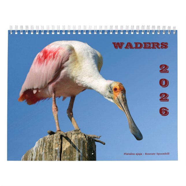 calendario de waders (Tapa)