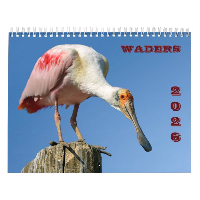 calendario de waders (Tapa)