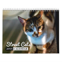 Calendario de Wall Street Cats Photo