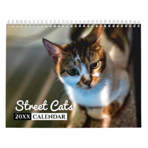 Calendario de Wall Street Cats Photo