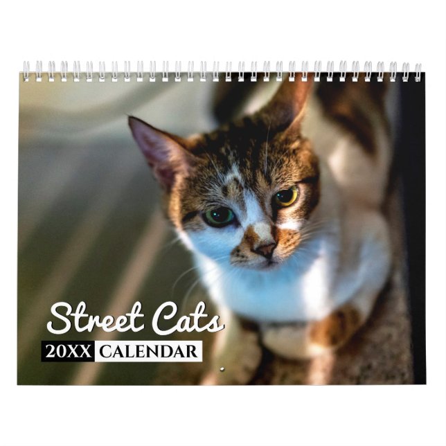 Calendario de Wall Street Cats Photo (Tapa)