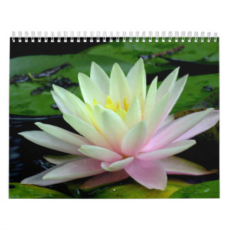 Calendario de Waterlily