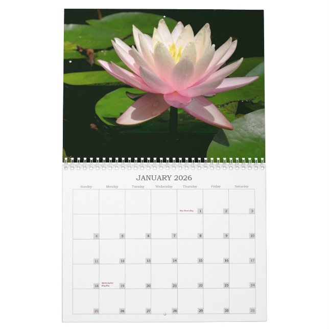 Calendario de Waterlily (Jan 2026)