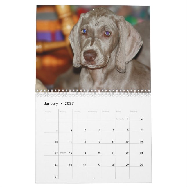 Calendario de Weimaraner (Jan 2027)