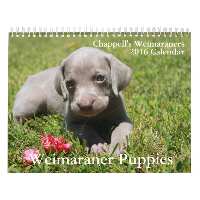 Calendario de Weimaraner (Tapa)