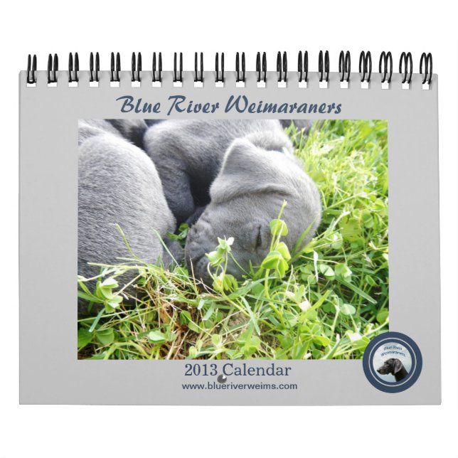 Calendario de Weimaraners del río de 2013 azules (Tapa)