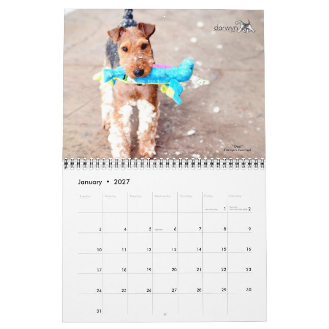 Calendario de Welsh Terrier (Jan 2027)