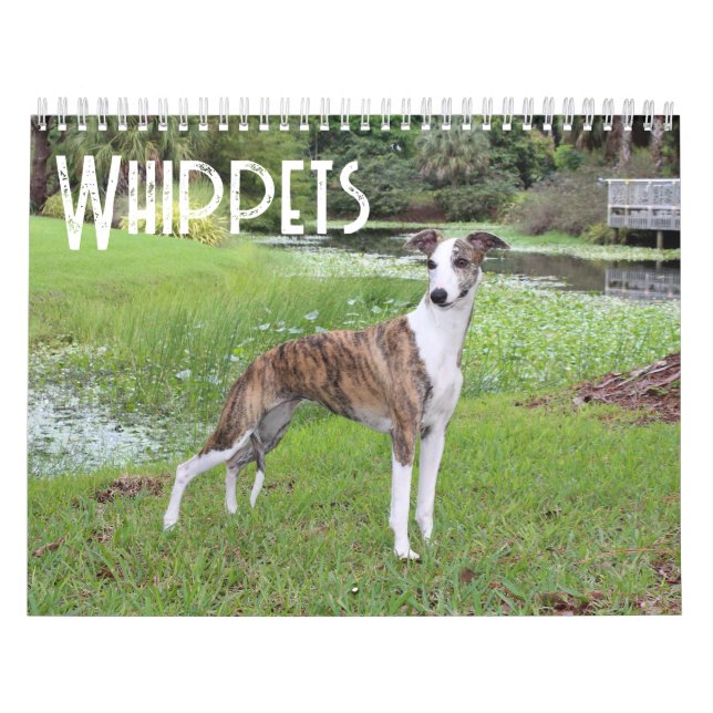 Calendario de Whippet (Tapa)
