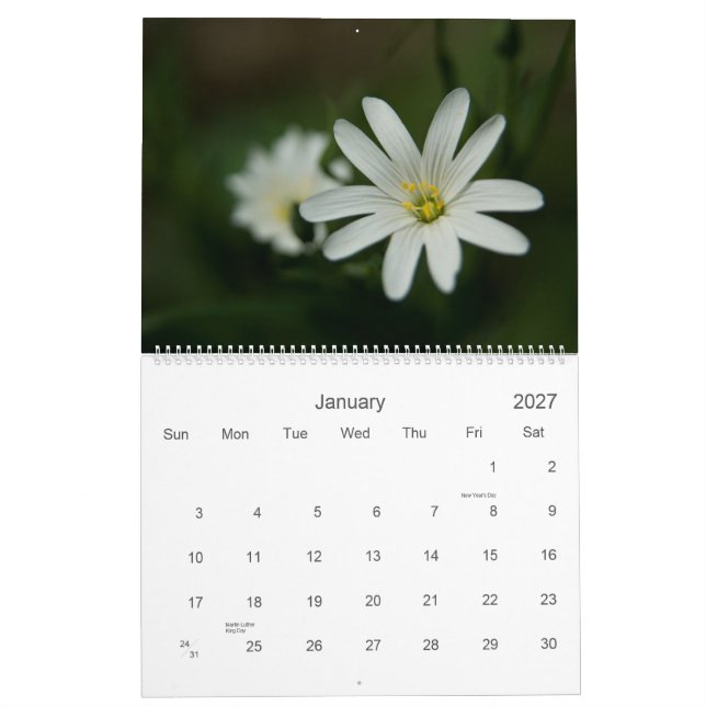 Calendario de Wildfowers 2009 del europeo (Jan 2027)