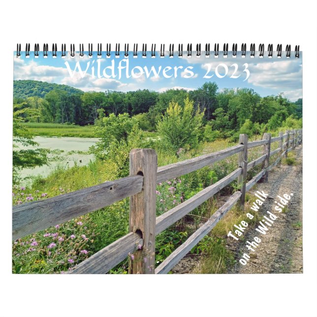 Calendario de Wisconsin Wildflowers 2023 (Tapa)